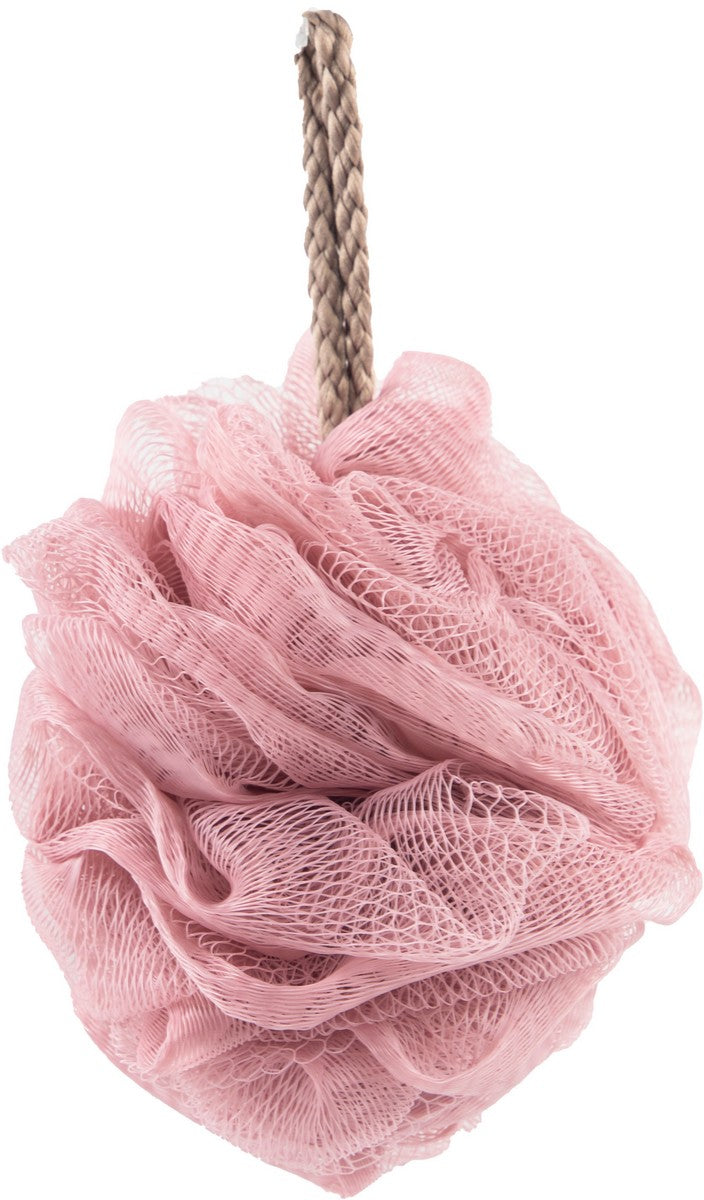 Mesh Sponge