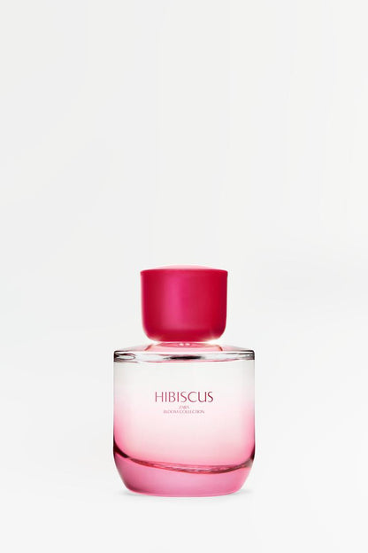 HIBISCUS EDP 90 ML EDP